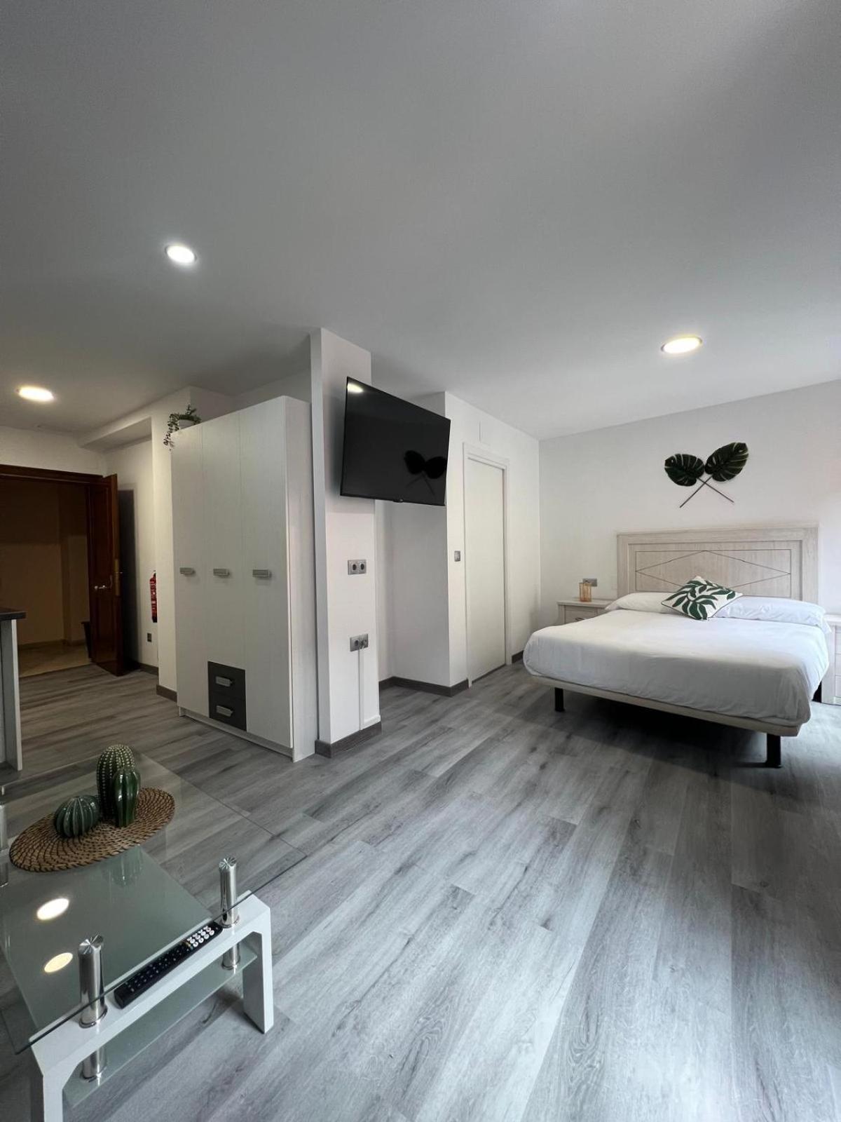 Apartment Rosal Oviedo