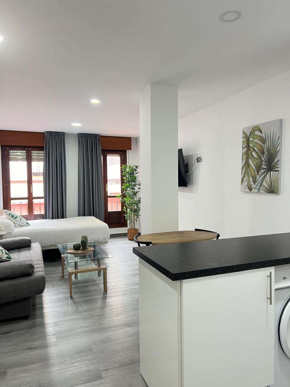 Apartment Rosal Oviedo